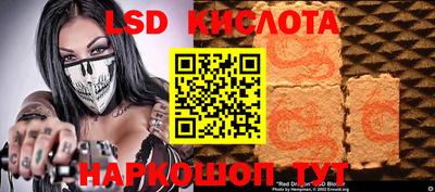 PSILOCYBIN Заводоуковск