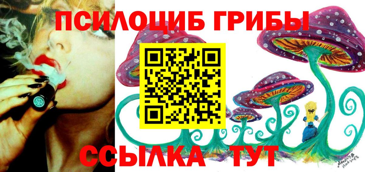 Галлюциногенные грибы Cubensis Салехард